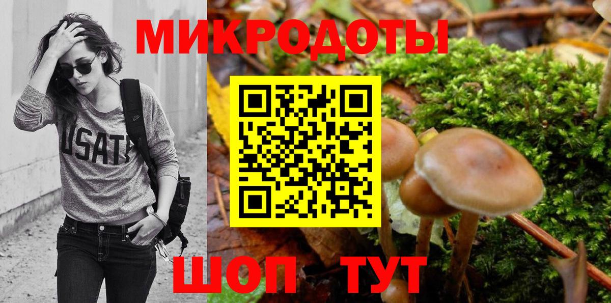 Галлюциногенные грибы прущие грибы Новороссийск